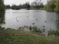 Lake in Foots Cray Meadows