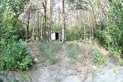 Forest in Umyotsky District