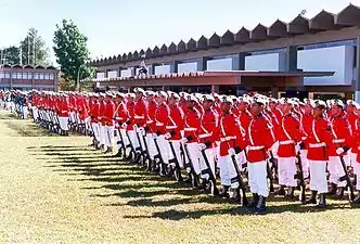 Graduating class of Brazilian Marine Corps recruits, 2008