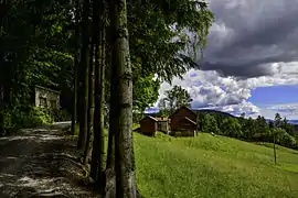 Farm in Bø