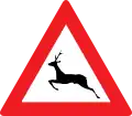 13b: Animals (deer)