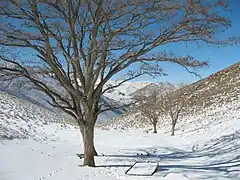 The Gerdoo Valley in winter.