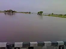 Ghaggar river in September, near Anoopgarh Sri Ganganagar Rajasthan