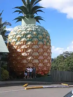 The Big Pineapple, Nambour, Australia