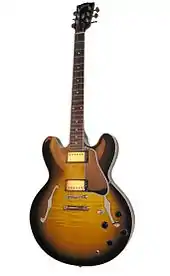 Gibson ES-335, a semi-hollow-body with sound holes