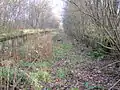 Giffen station looking towards Barrmill