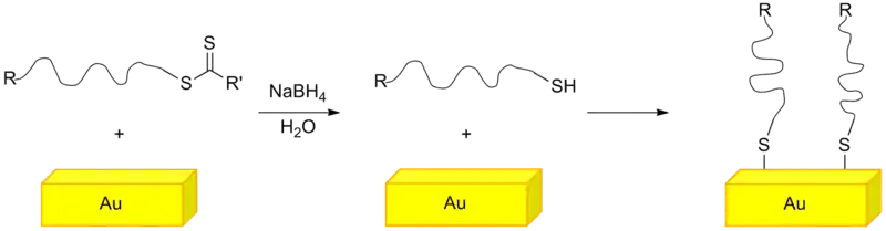 Grafting polymer on a gold surface utilizing the thiol functional end group