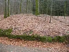 Burial mound in Bøkeskogen.