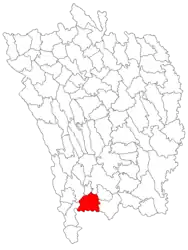 Location in Vaslui County