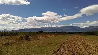 Fields of Grnčari, with Lake Prespa and Galičica mountains in the background