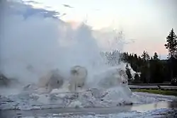 Grotto geyser erupting in Upper Geyser Basin, 2019