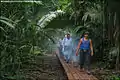 Image 5A low impact trail built for ecotourists to protect an archeological site in Guatemala