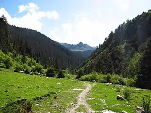 Hengduan conifer forests, Dêgê County, northwest of Sichuan province.