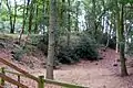 Part of the hill fort's defensive bank.