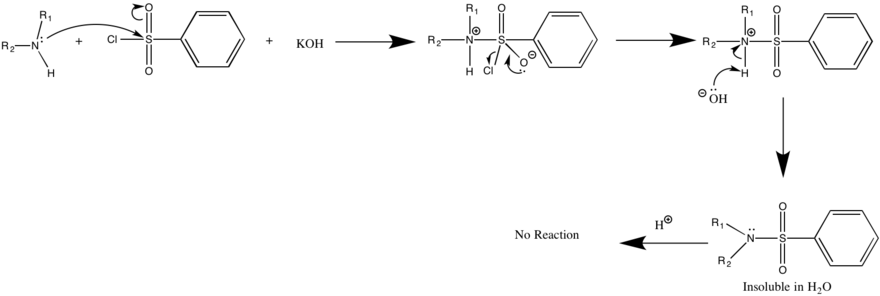 PhSO2N(H)R + NaOH → Na+[PhSO2NR−] + H2O