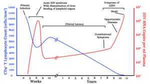 A graph with two lines. One in blue moves from high on the right to low on the left with a brief rise in the middle. The second line in red moves from zero to very high then drops to low and gradually rises to high again