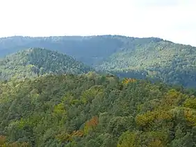 Hohe Derst (eastern Wasgau): view from the Stäffelsberg