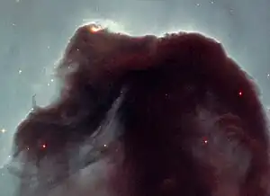 Interstellar dust of the Horsehead Nebula as revealed by the Hubble Space Telescope