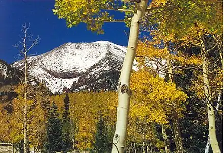 Humphreys Peak is the highest summit of the San Francisco Peaks and Arizona.