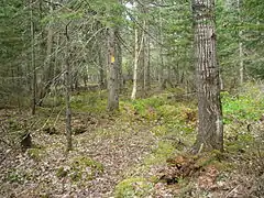 Northern landscape in Lincoln County's New Wood State Wildlife Area