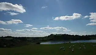 Looking east on Lough Bane