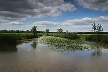 The Saint-Aubin island protected area