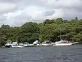 Boats moored in a bay with trees in the background