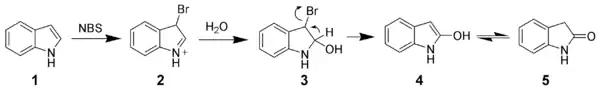 Oxidation of indole by N-bromosuccinimide