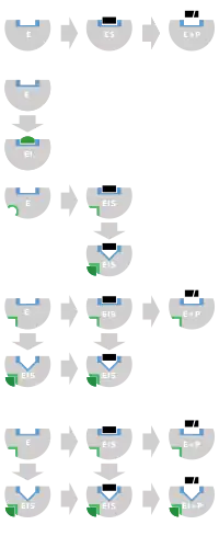 schematic diagram of the three types of reversible inhibitors