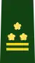 Colonel