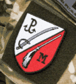 Zespoł Bojowy A, Miotła insignia