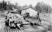 A sawmill at Bell Hill, possibly Jack Bros' Sawmill