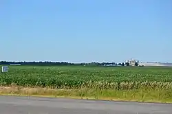 Fields south of Amboy