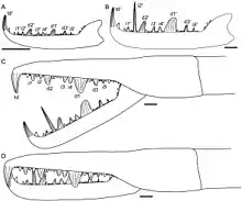 Illustrations of the claws of Jaekelopterus