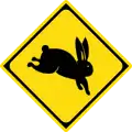 Watch for large animals (rabbit)