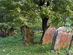 Jewish cemetery in Rymanów