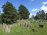 Gravestones in the Jewish cemetery of Druya