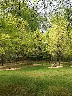 Joseph Beuys Sculpture Park