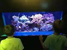 Florida Aquarium Educational Program for Kids - Josh Vignona