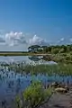 Partial view of Prokopos Lagoon.