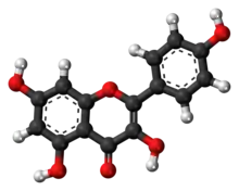 Ball-and-stick model of the kaempferol molecule