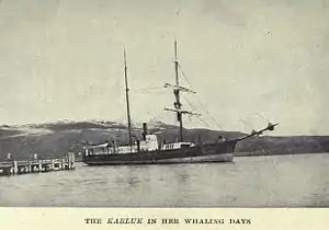 Black-hulled two-masted steam-and-sail ship emerging from a harbour, with low hills in the background