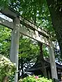 Kasai shrine Torii