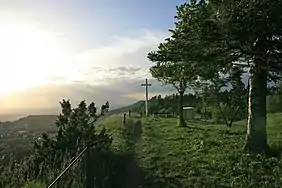 The way to the White Cross on the Kehlen (1,001.3 m)