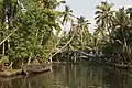 Backwaters in Alappuzha.