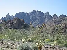 Kofa Mountains