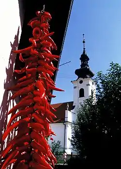 Reformed Christian Church in Kopačevo