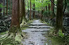 The sandō at Kōzan-ji, Kyoto