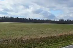 Wheat fields on Road L