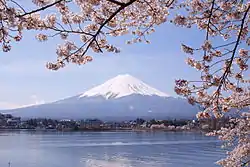 Image 82Mount Fuji and sakura (cherry blossoms) are national symbols of Japan. (from Culture of Japan)